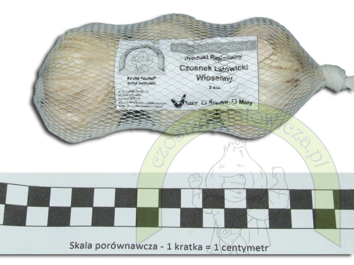 Czosnek Polski Latowicki Wiosenny Duży główki- siateczka 3szt. Czosnek Polski Latowicki Wiosenny Duży główki- siateczka 3szt.