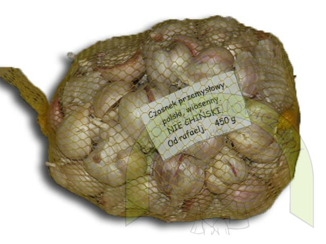 Czosnek Polski Latowicki Wiosenny Przemysł - 450 gram Czosnek Polski Latowicki Wiosenny Przemysł - 450 gram
