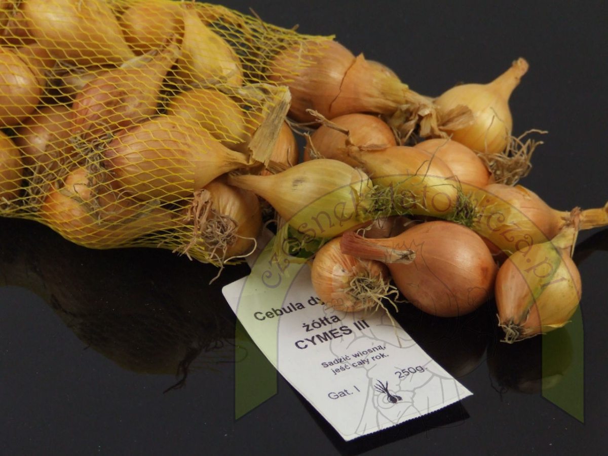 Dymka CYMES III 250 g Dymka CYMES III 250 g