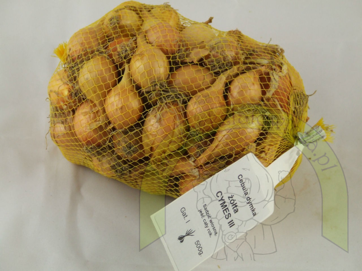 Dymka CYMES III 500 g Dymka CYMES III 500 g