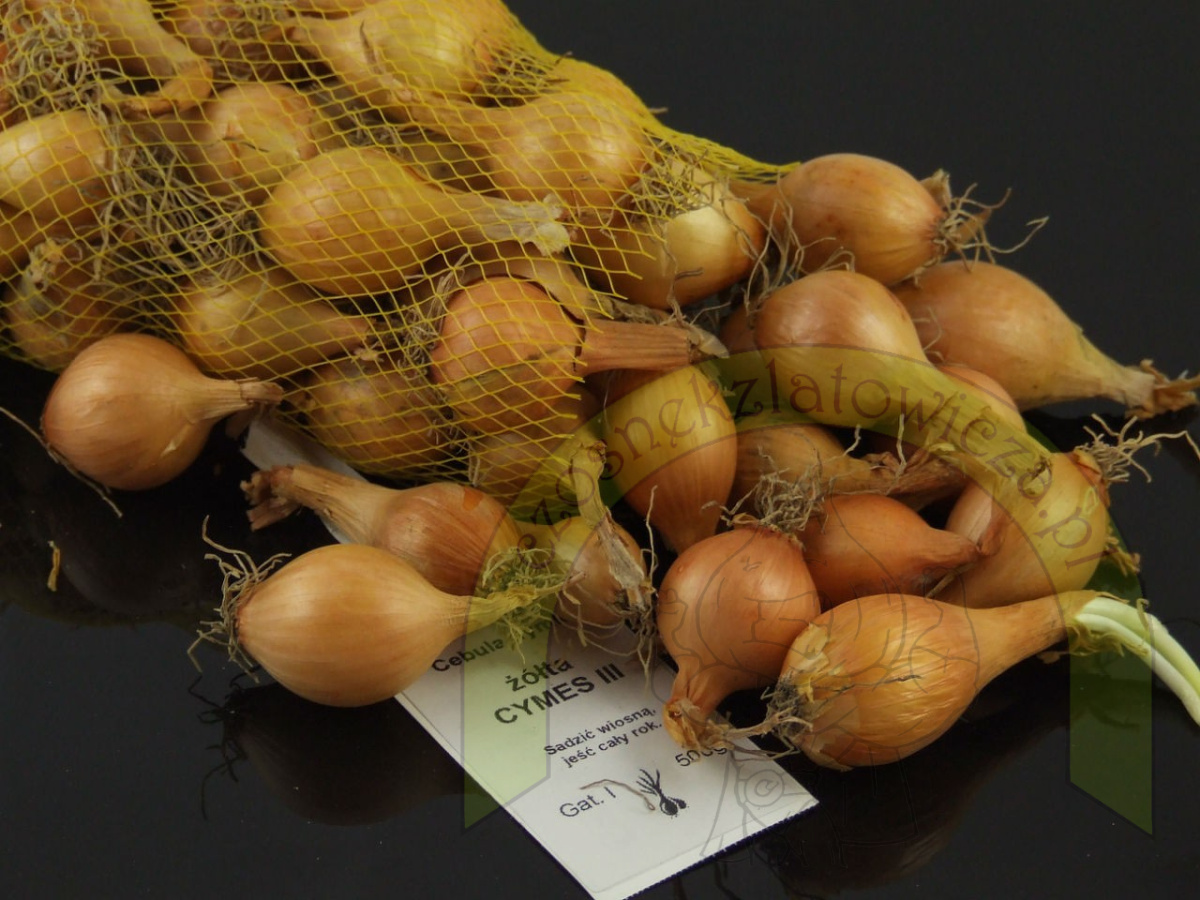 Dymka CYMES III 500 g Dymka CYMES III 500 g