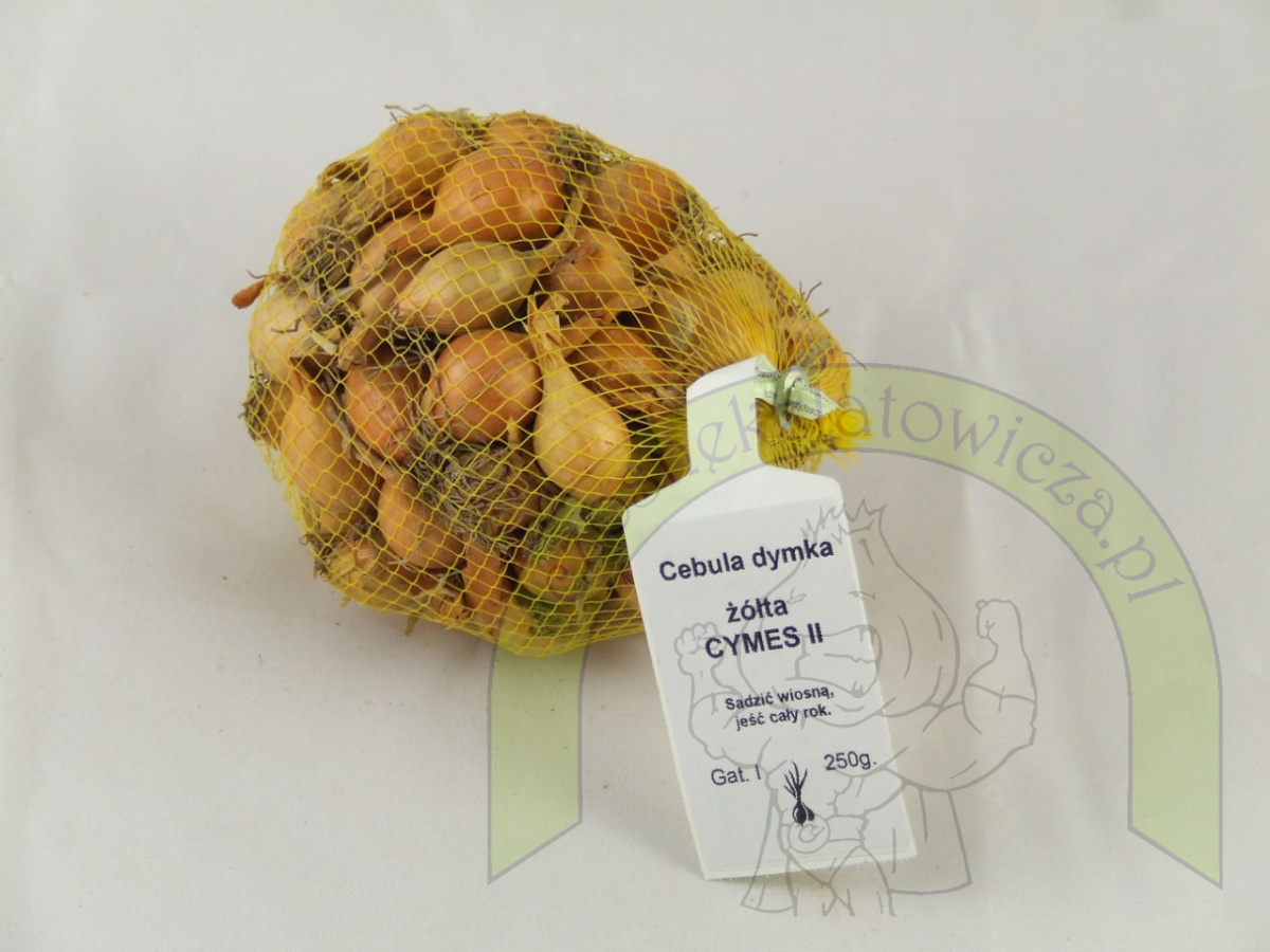 Dymka CYMES II 250 g Dymka CYMES II 250 g