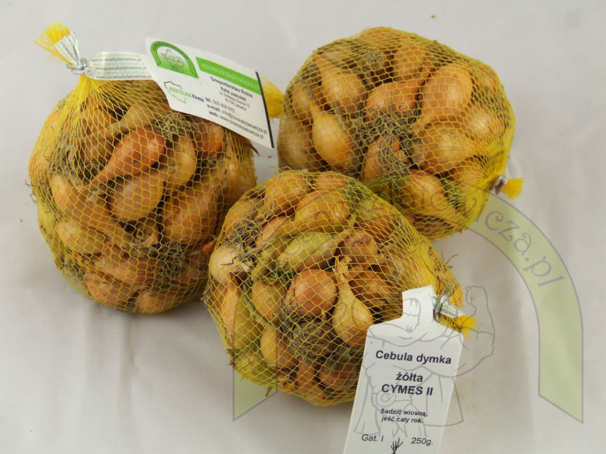 Dymka CYMES II 250 g Dymka CYMES II 250 g
