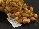 Dymka CYMES II 500 g Dymka CYMES II 500 g