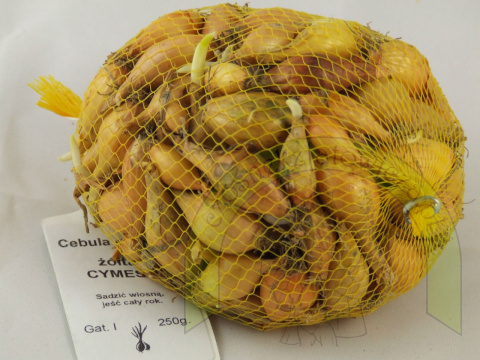 Dymka CYMES I 250 g Dymka CYMES I 250 g
