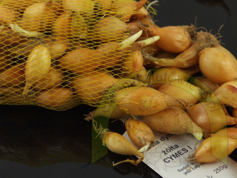 Dymka CYMES I 250 g Dymka CYMES I 250 g