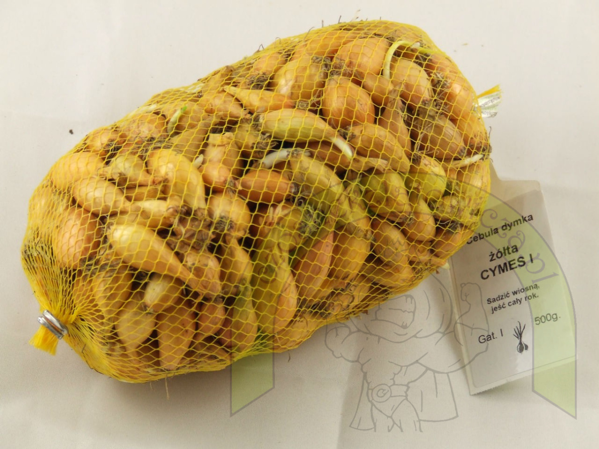 Dymka CYMES I 500 g Dymka CYMES I 500 g