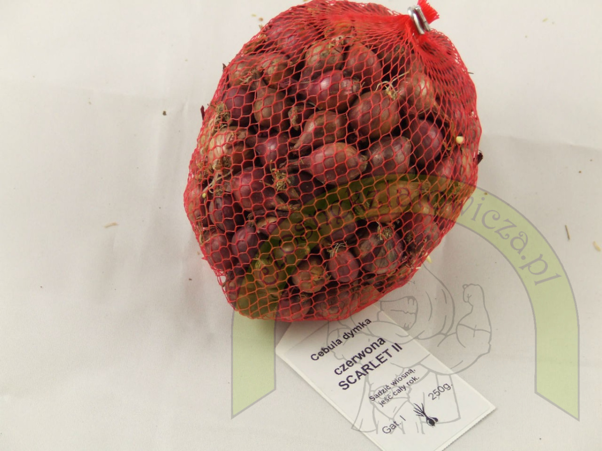 Dymka SCARLET II 250 g Dymka SCARLET II 250 g