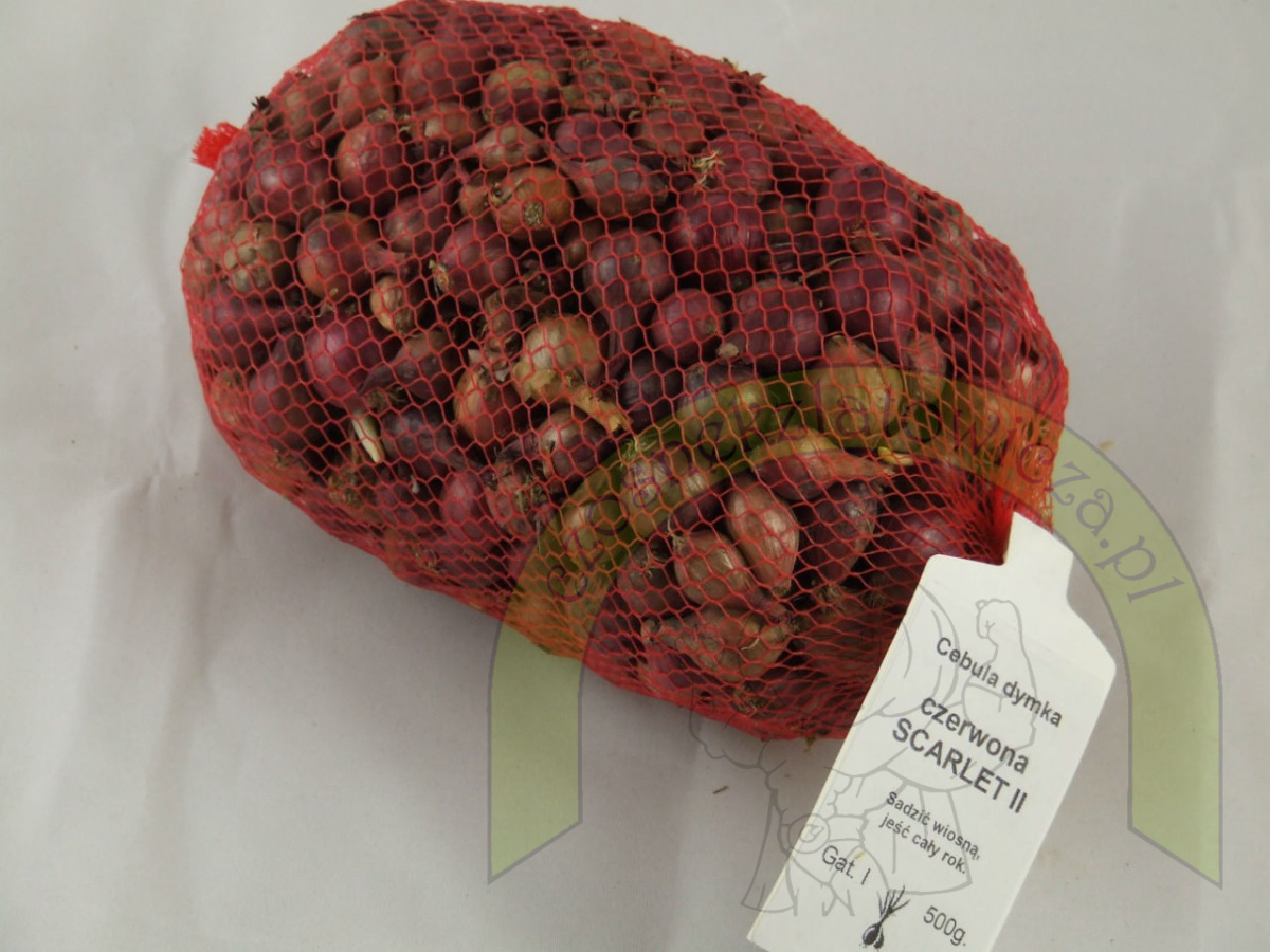 Dymka SCARLET II 500 g Dymka SCARLET II 500 g