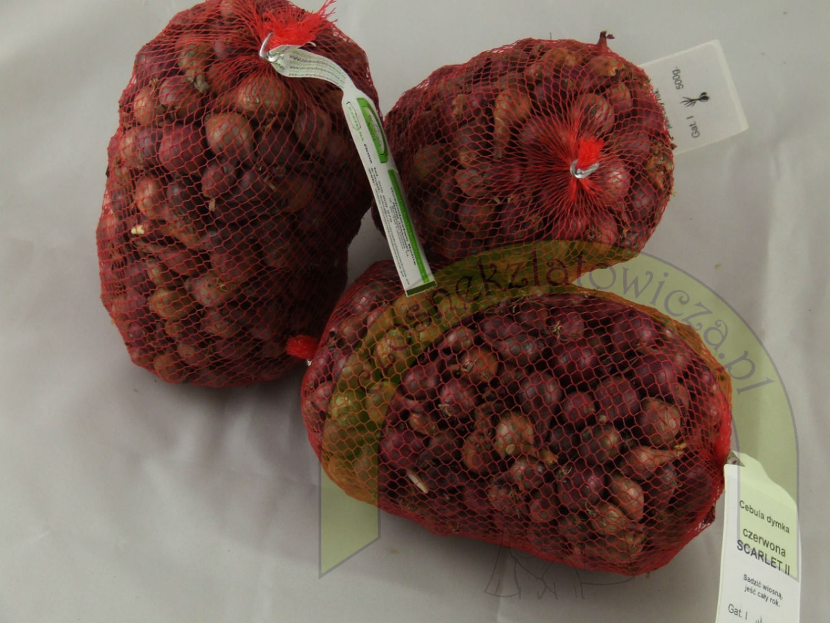 Dymka SCARLET II 500 g Dymka SCARLET II 500 g