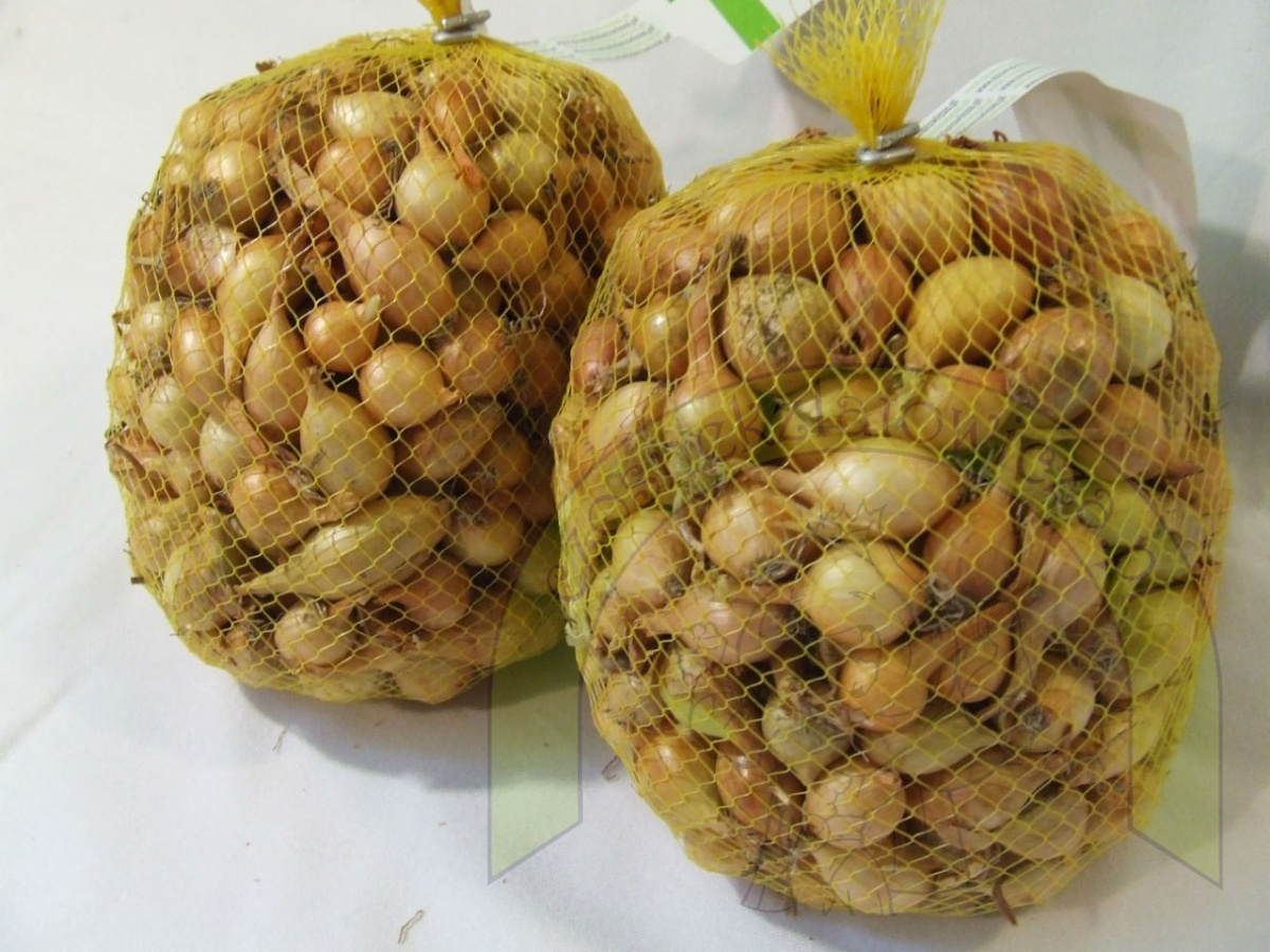 Dymka STUTTGARTER II 500G Dymka STUTTGARTER II 500G