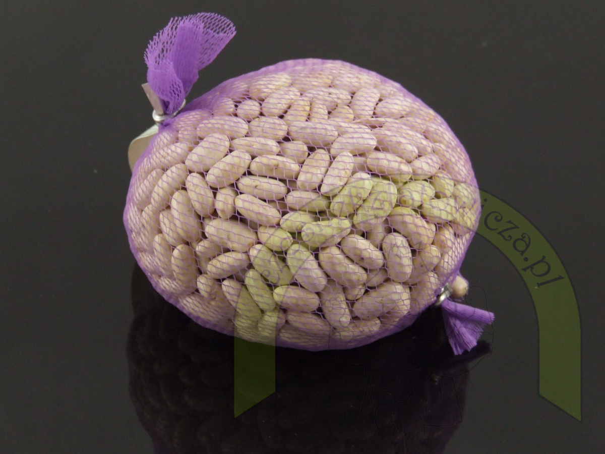 Fasola Igołomska 250g Fasola Igołomska 250g