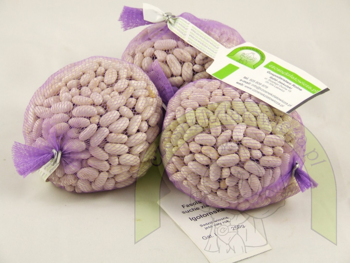 Fasola Igołomska 250g Fasola Igołomska 250g
