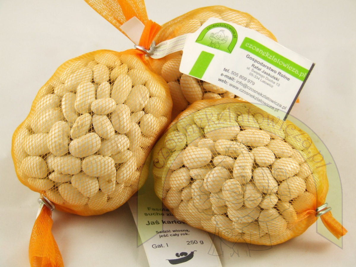 Fasola Jaś Karłowy 250g Fasola Jaś Karłowy 250g
