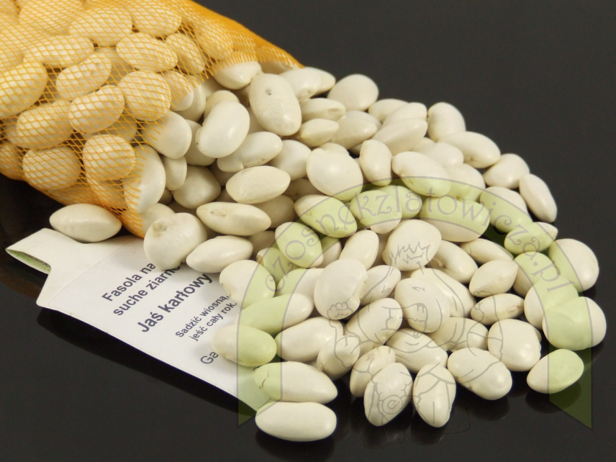 Fasola Jaś Karłowy 250g Fasola Jaś Karłowy 250g
