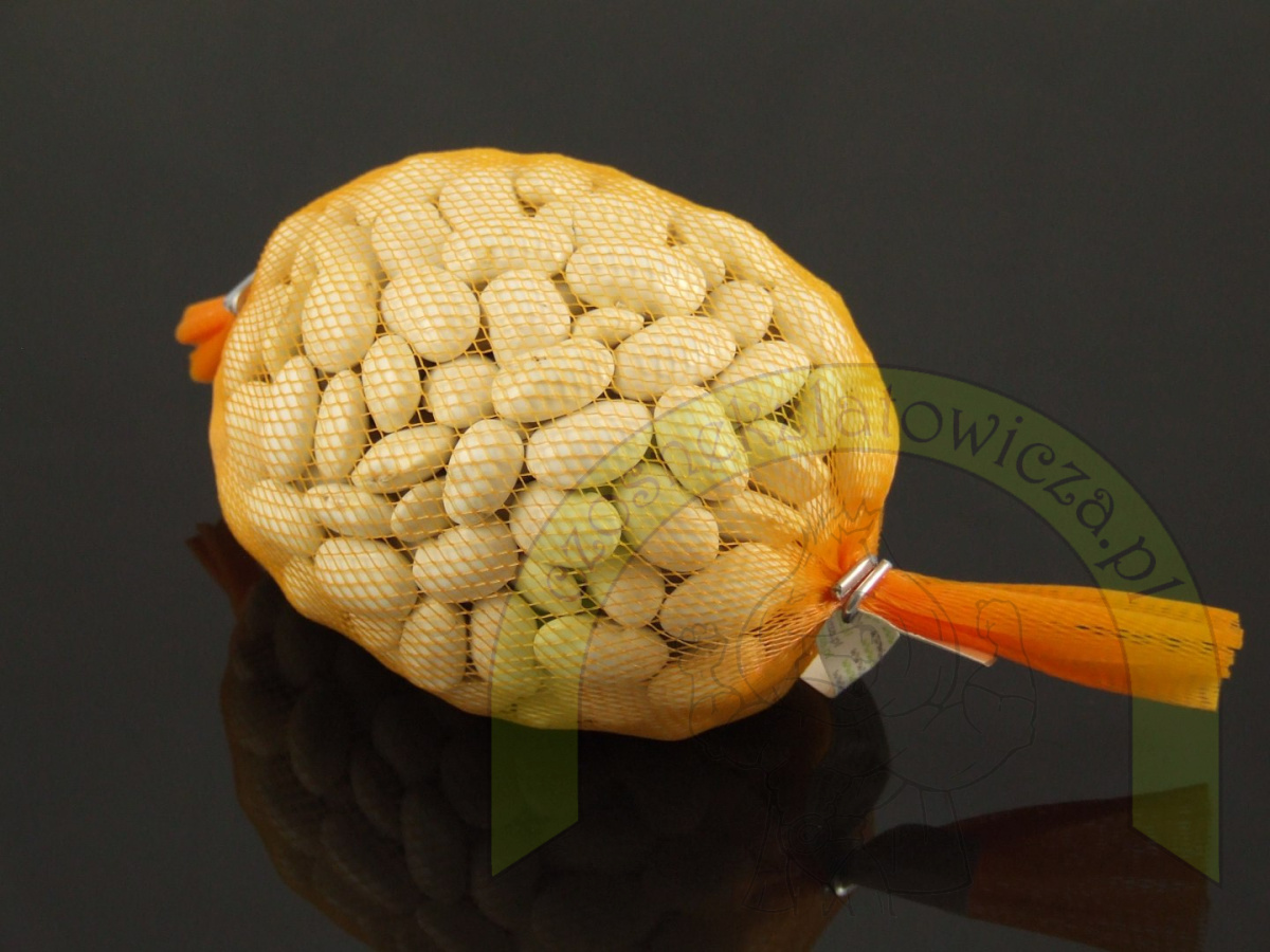 Fasola Jaś Karłowy 250g Fasola Jaś Karłowy 250g