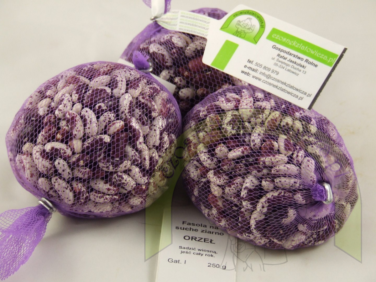 Fasola ORZEŁ 250g Fasola ORZEŁ 250g
