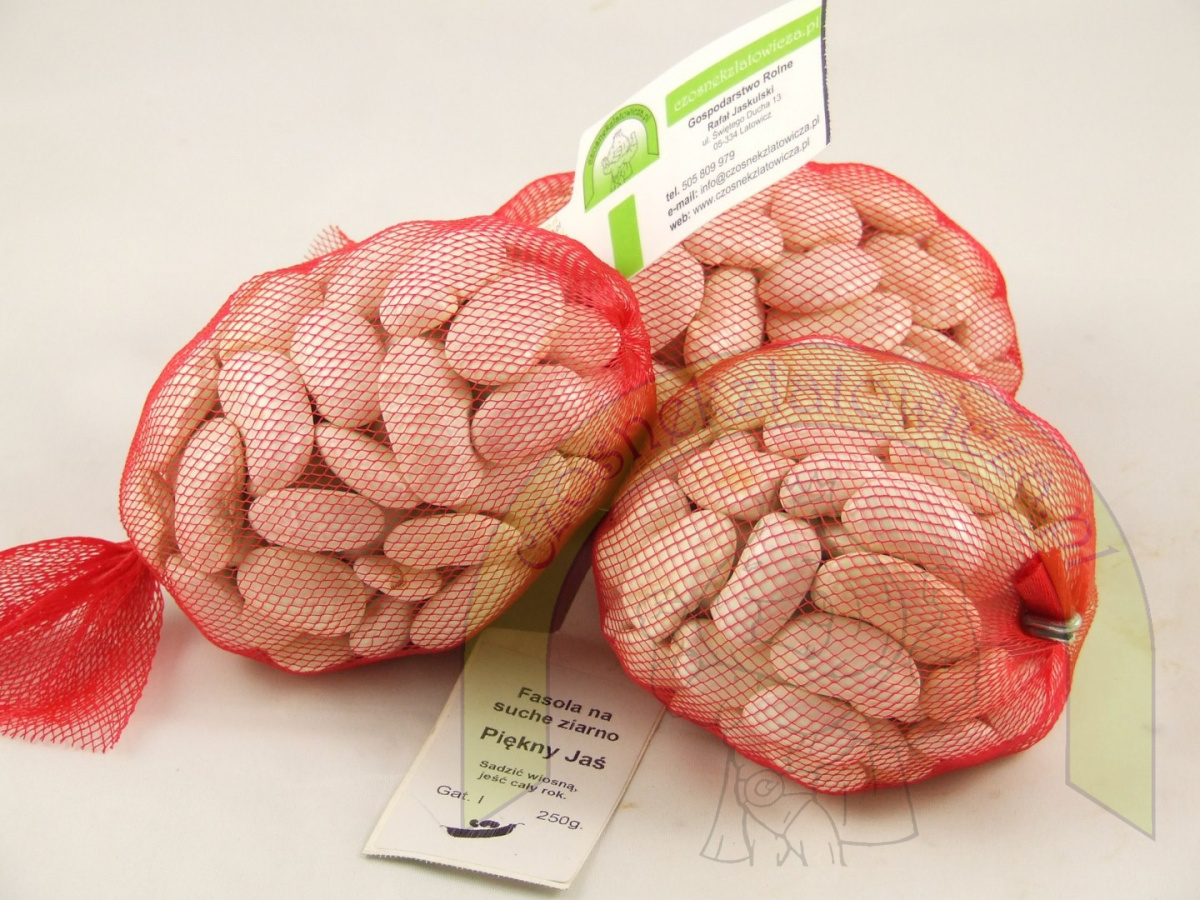 Fasola Piękny Jaś 250g Fasola Piękny Jaś 250g