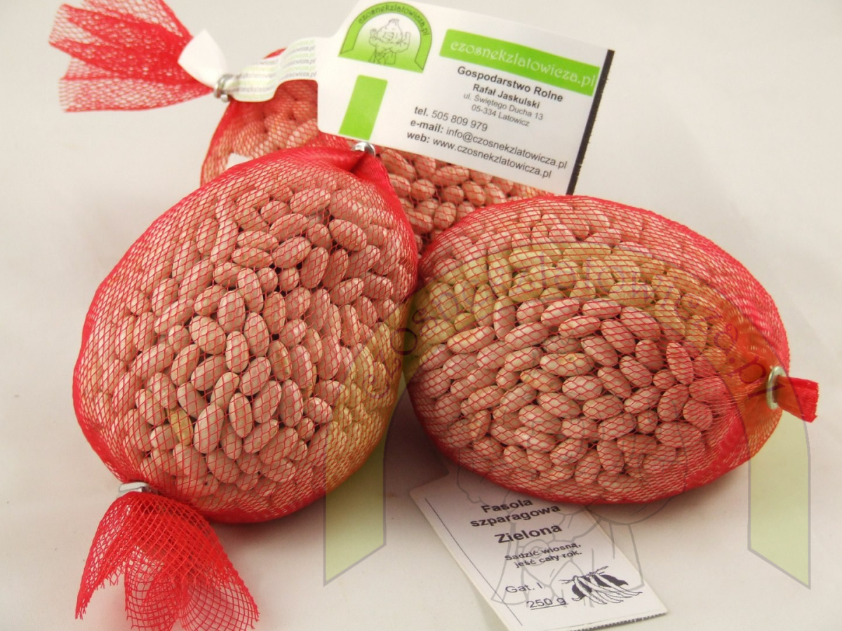Fasola szparagowa ZIELONA 250g Fasola szparagowa ZIELONA 250g