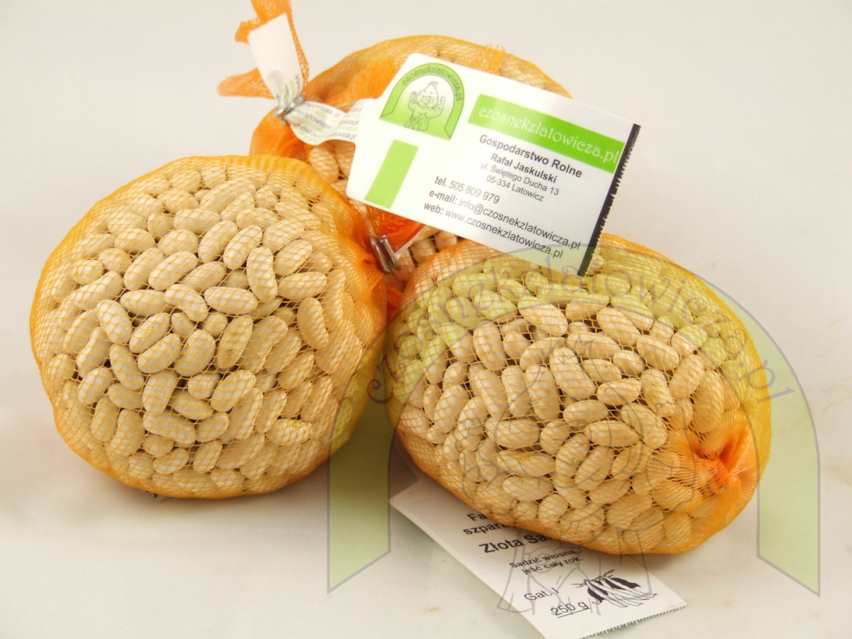 Fasola szparagowa ZŁOTA SAXA 250g Fasola szparagowa ZŁOTA SAXA 250g