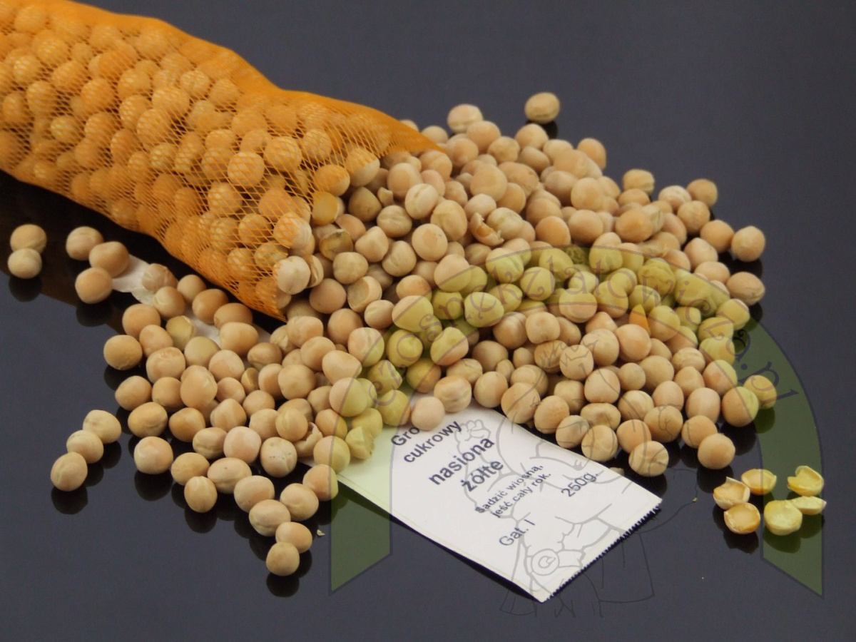 Groch cukrowy nasiona żółte 250g Groch cukrowy nasiona żółte 250g