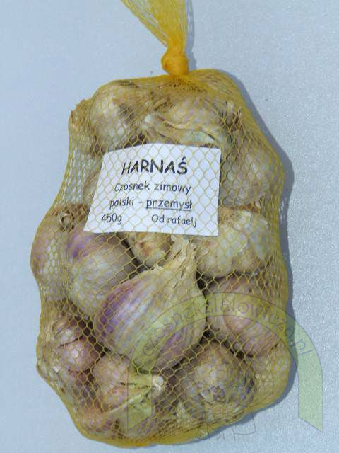Harnaś Przemysł - siatka 450 gram Harnaś Przemysł - siatka 450 gram