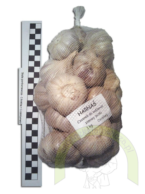 Harnaś do sadzenia - siatka 1 kilogram +GRATIS! Harnaś do sadzenia - siatka 1 kilogram +GRATIS!