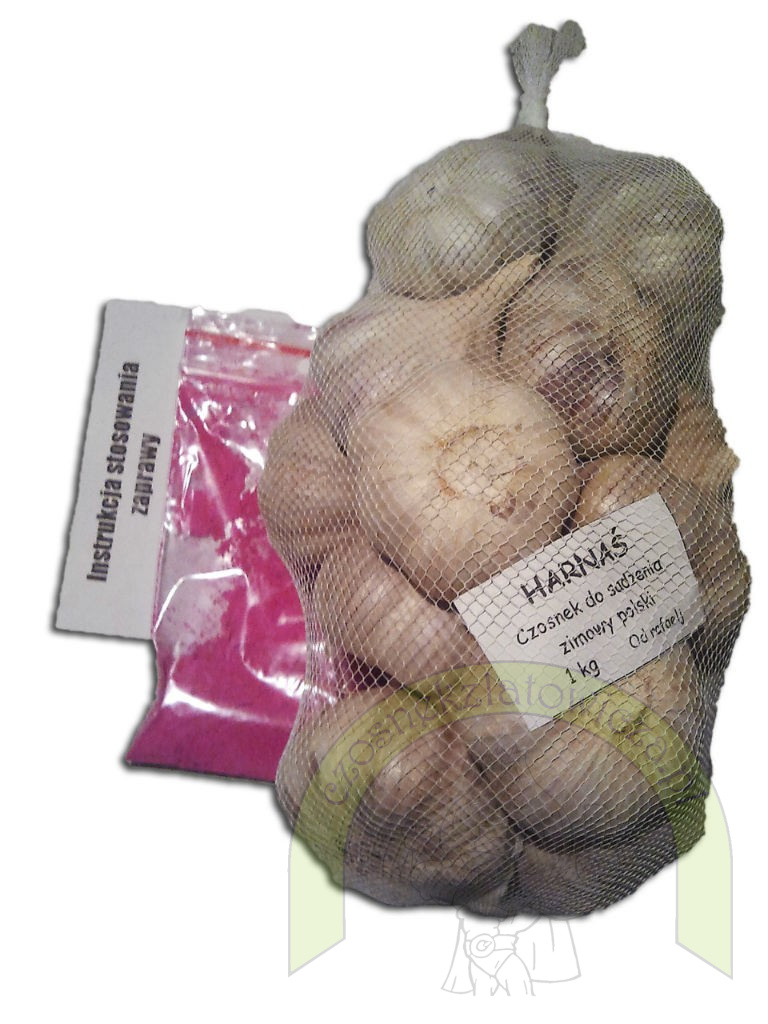 Harnaś do sadzenia - siatka 1 kilogram +GRATIS! Harnaś do sadzenia - siatka 1 kilogram +GRATIS!