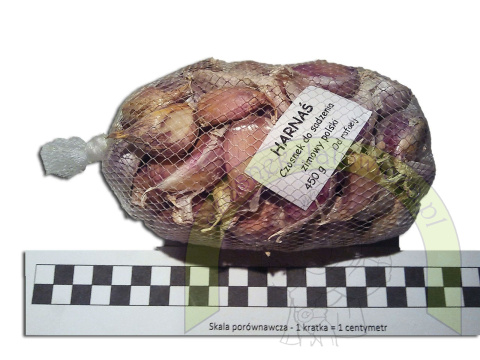 Harnaś do sadzenia - siatka 450 gram +GRATIS! Harnaś do sadzenia - siatka 450 gram +GRATIS!