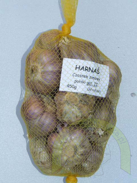 Harnaś Średni - siatka 450 gram Harnaś Średni - siatka 450 gram