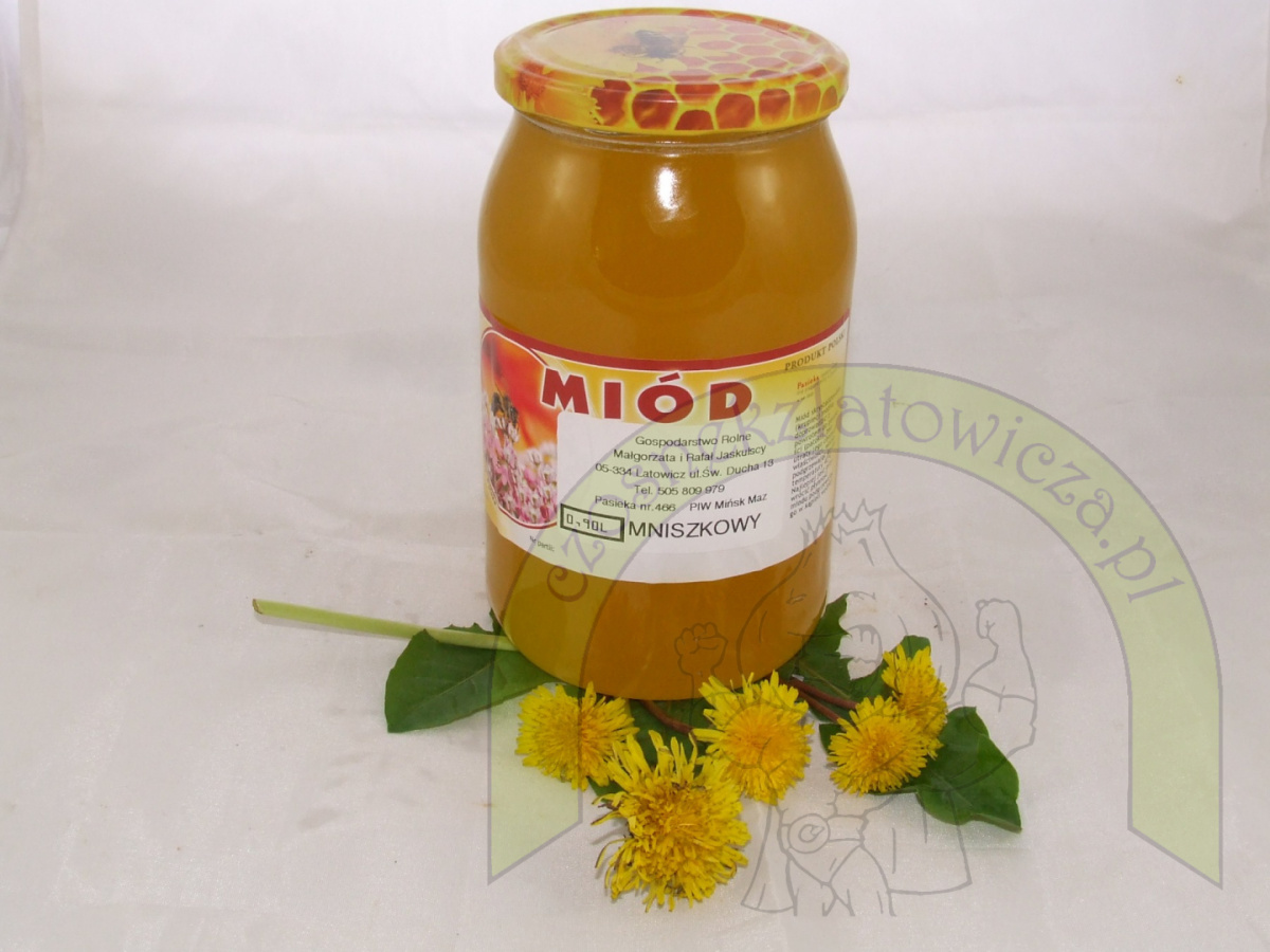 Miód Mniszkowy - 1200 gram Miód Mniszkowy - 1200 gram