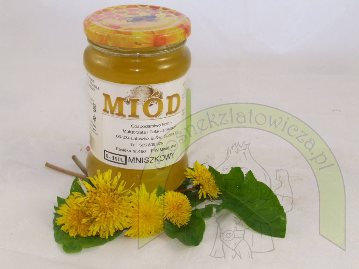 Miód Mniszkowy - 400 gram Miód Mniszkowy - 400 gram