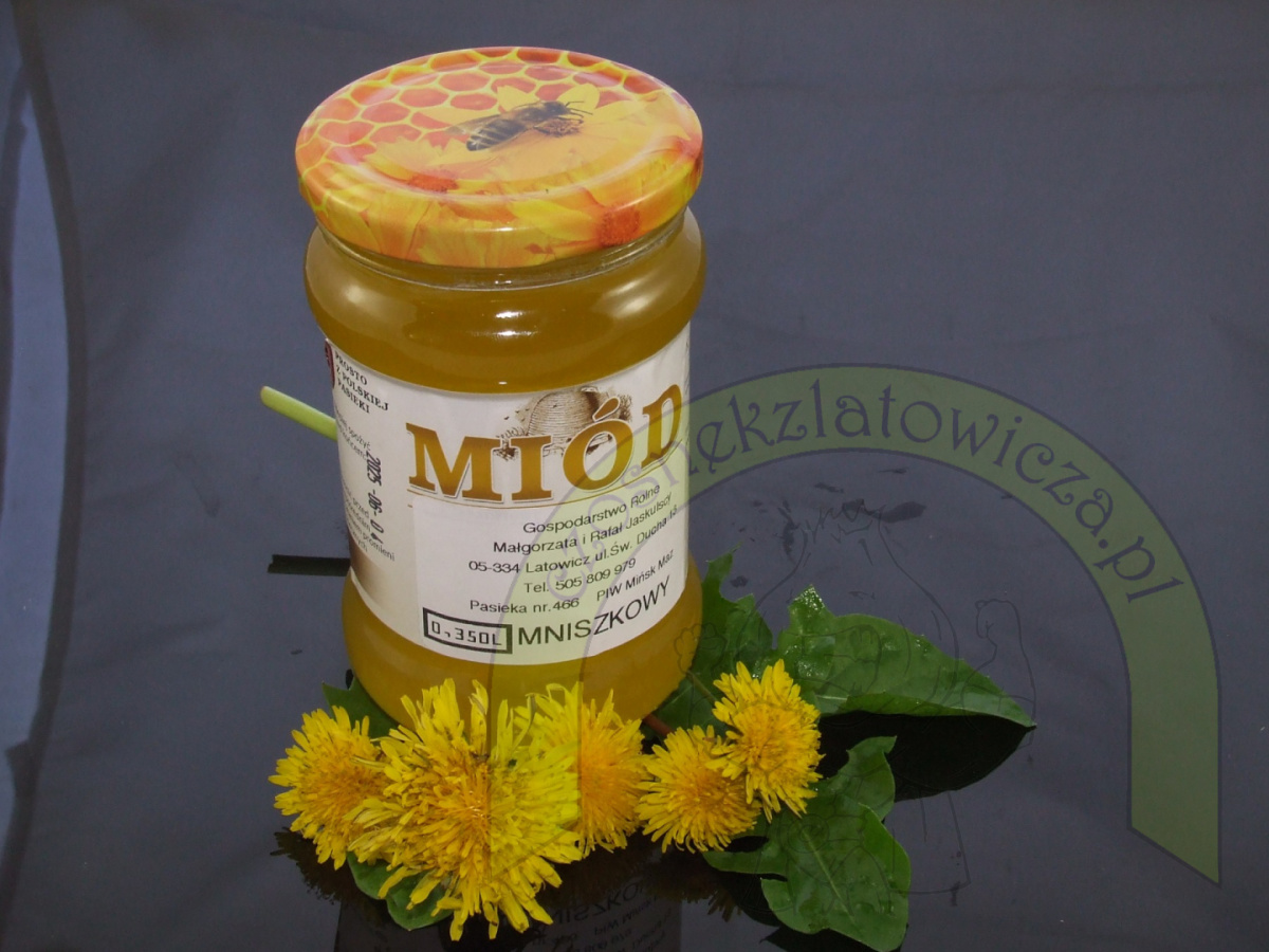 Miód Mniszkowy - 400 gram Miód Mniszkowy - 400 gram