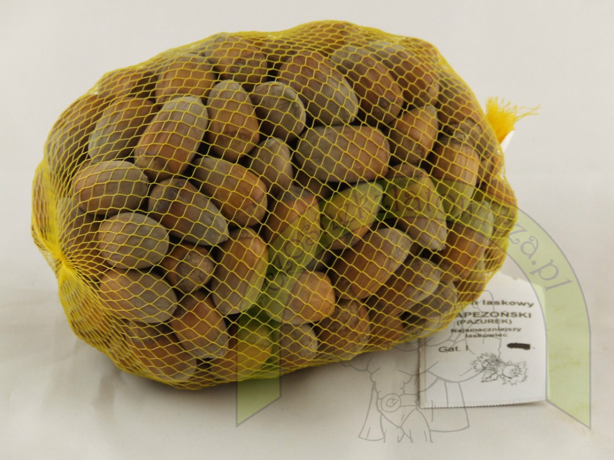 Orzech laskowy Trapezoński 500 g Orzech laskowy Trapezoński 500 g