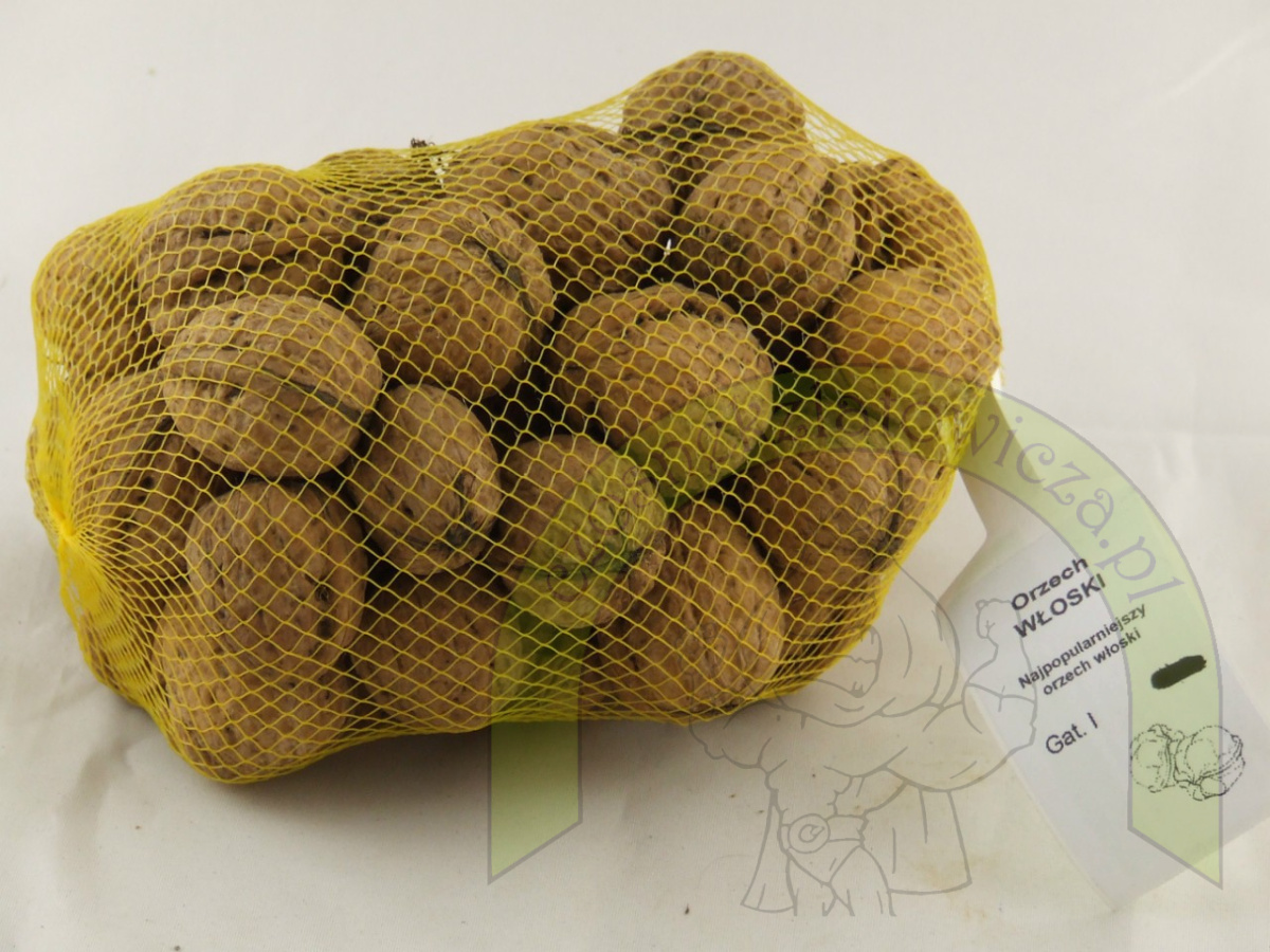 Orzech włoski 500 g Orzech włoski 500 g