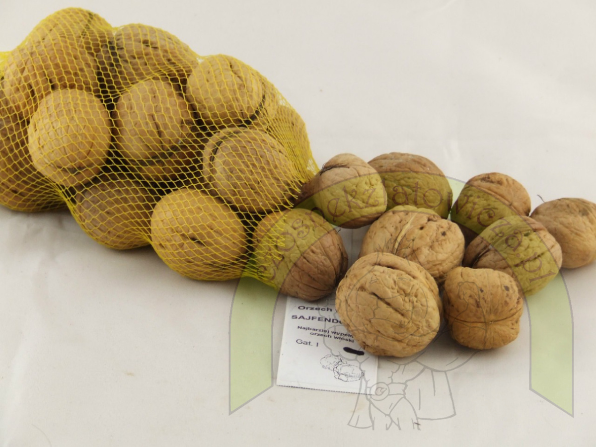 Orzech włoski Sajfendorski 500 g Orzech włoski Sajfendorski 500 g