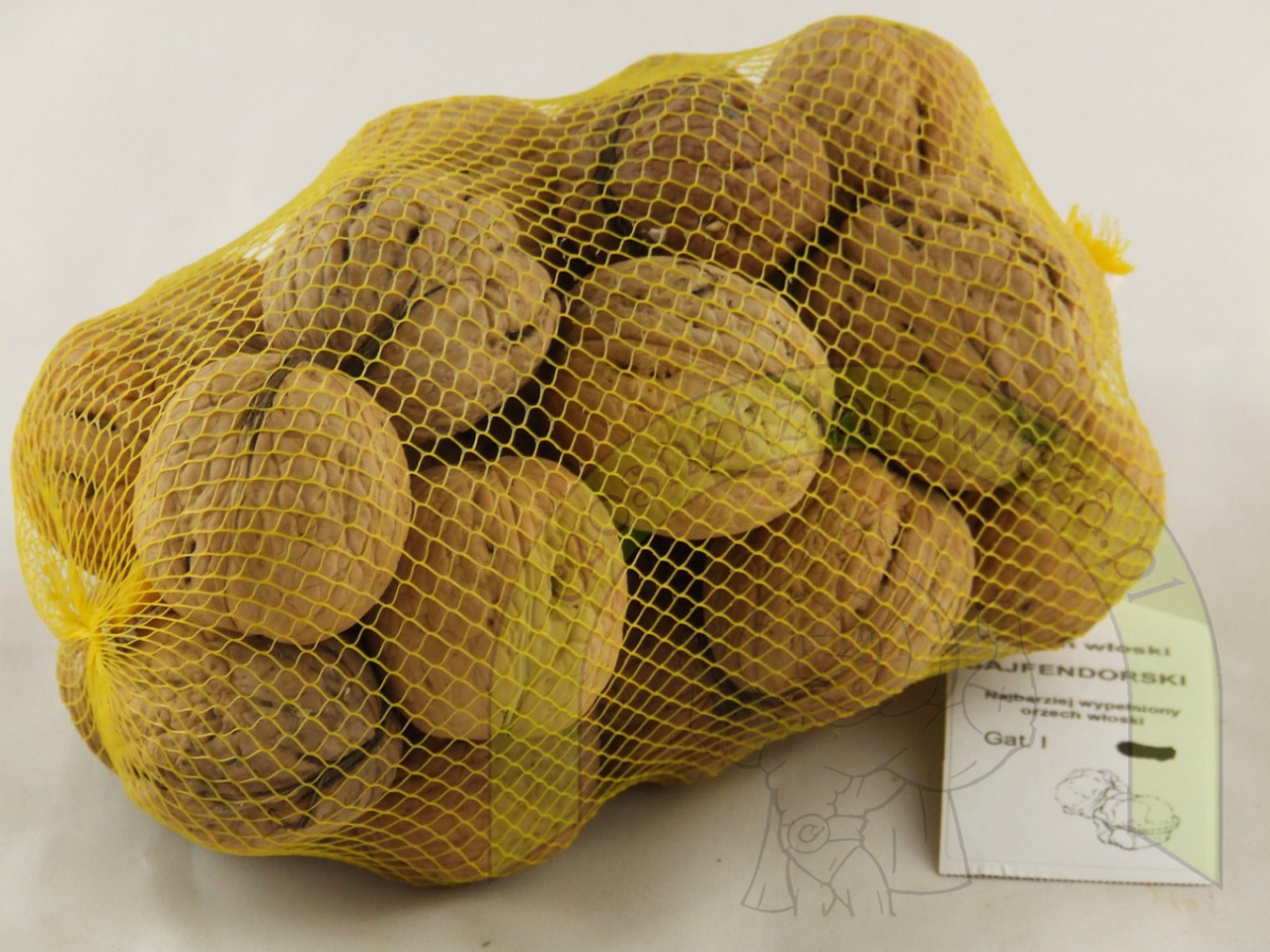 Orzech włoski Sajfendorski 500 g Orzech włoski Sajfendorski 500 g