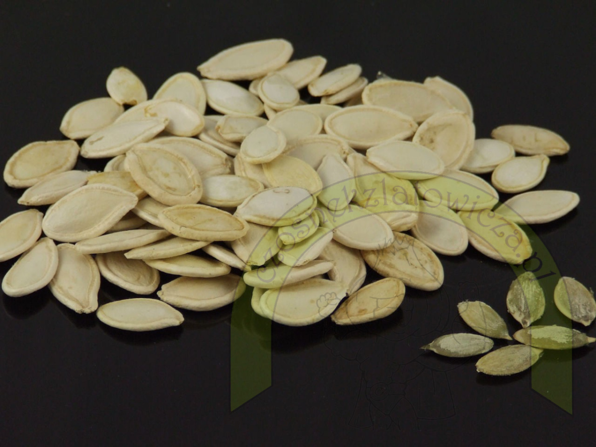 Pestki z dyni 250 g Pestki z dyni 250 g