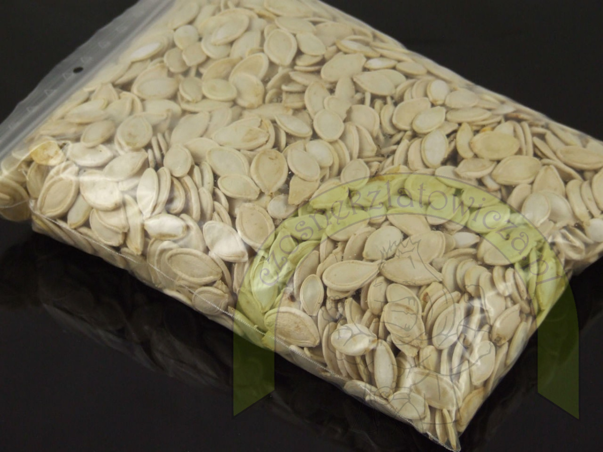 Pestki z dyni 500 g Pestki z dyni 500 g