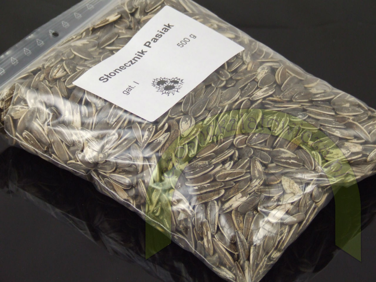 Słonecznik PASIAK 500 g Słonecznik PASIAK 500 g