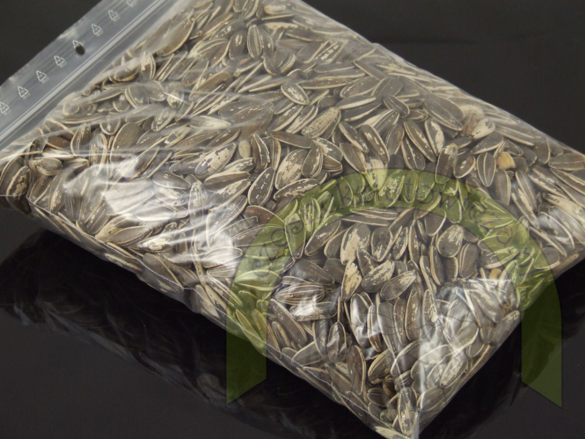 Słonecznik PASIAK 500 g Słonecznik PASIAK 500 g