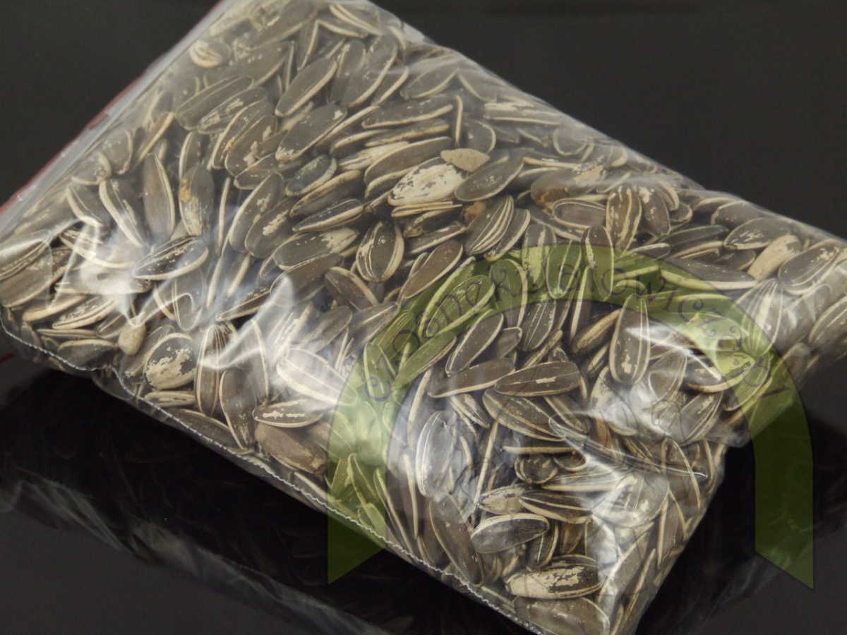 Słonecznik PASIAK gruby 250 g Słonecznik PASIAK gruby 250 g