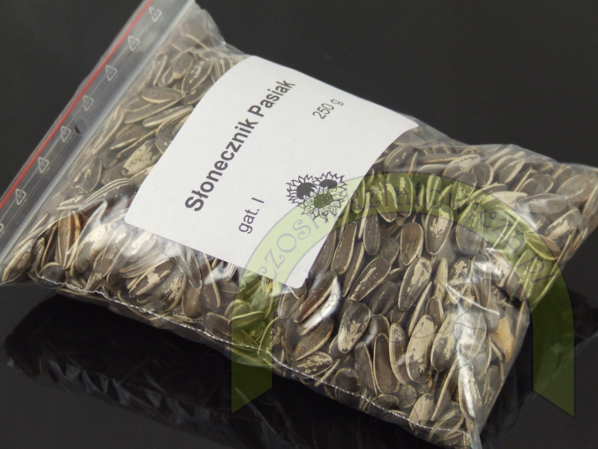 Słonecznik PASIAK gruby 250 g Słonecznik PASIAK gruby 250 g
