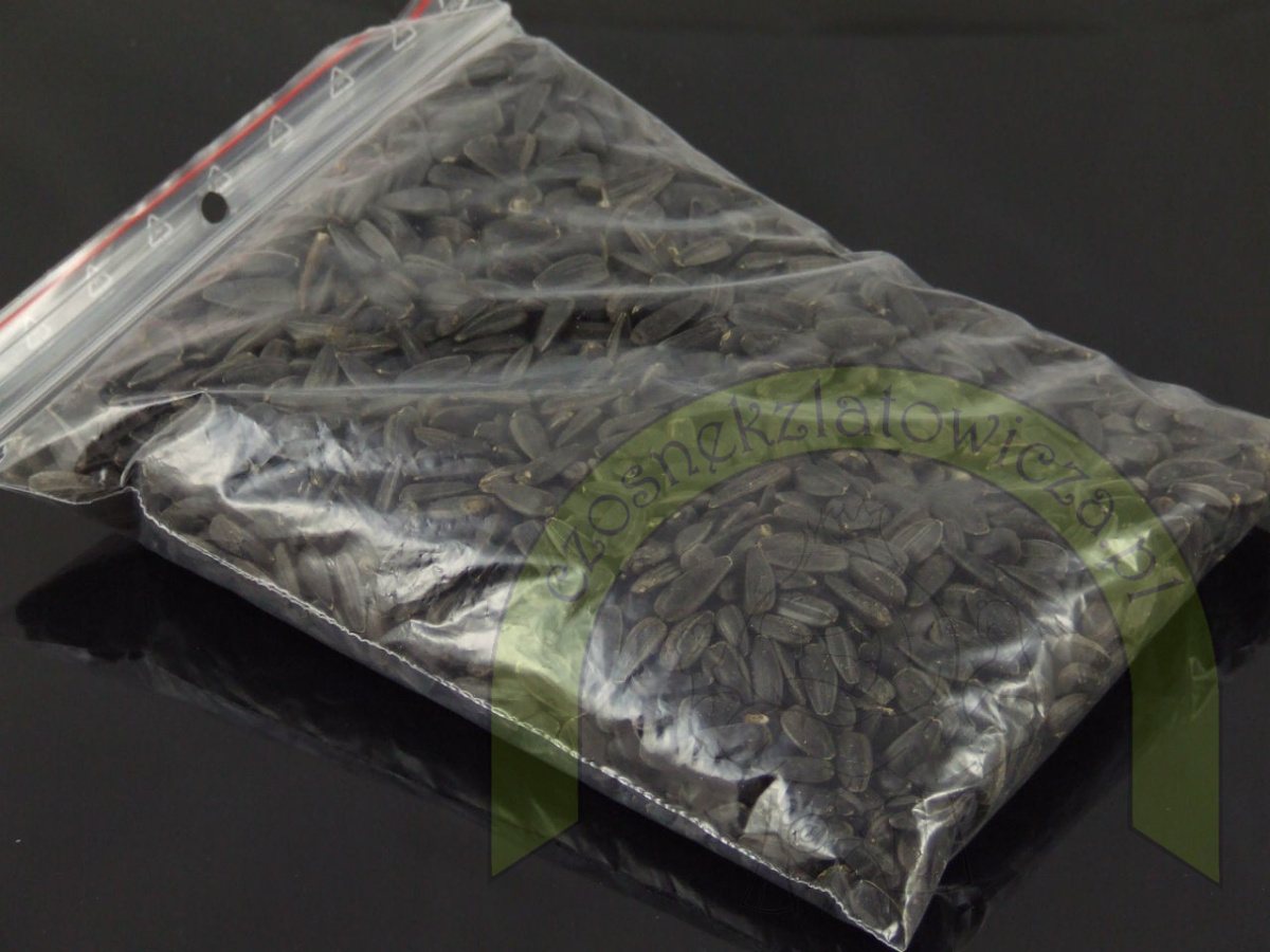 Słonecznik czarny gruby 250 g Słonecznik czarny gruby 250 g
