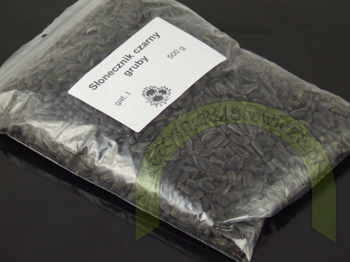 Słonecznik czarny gruby 500 g Słonecznik czarny gruby 500 g