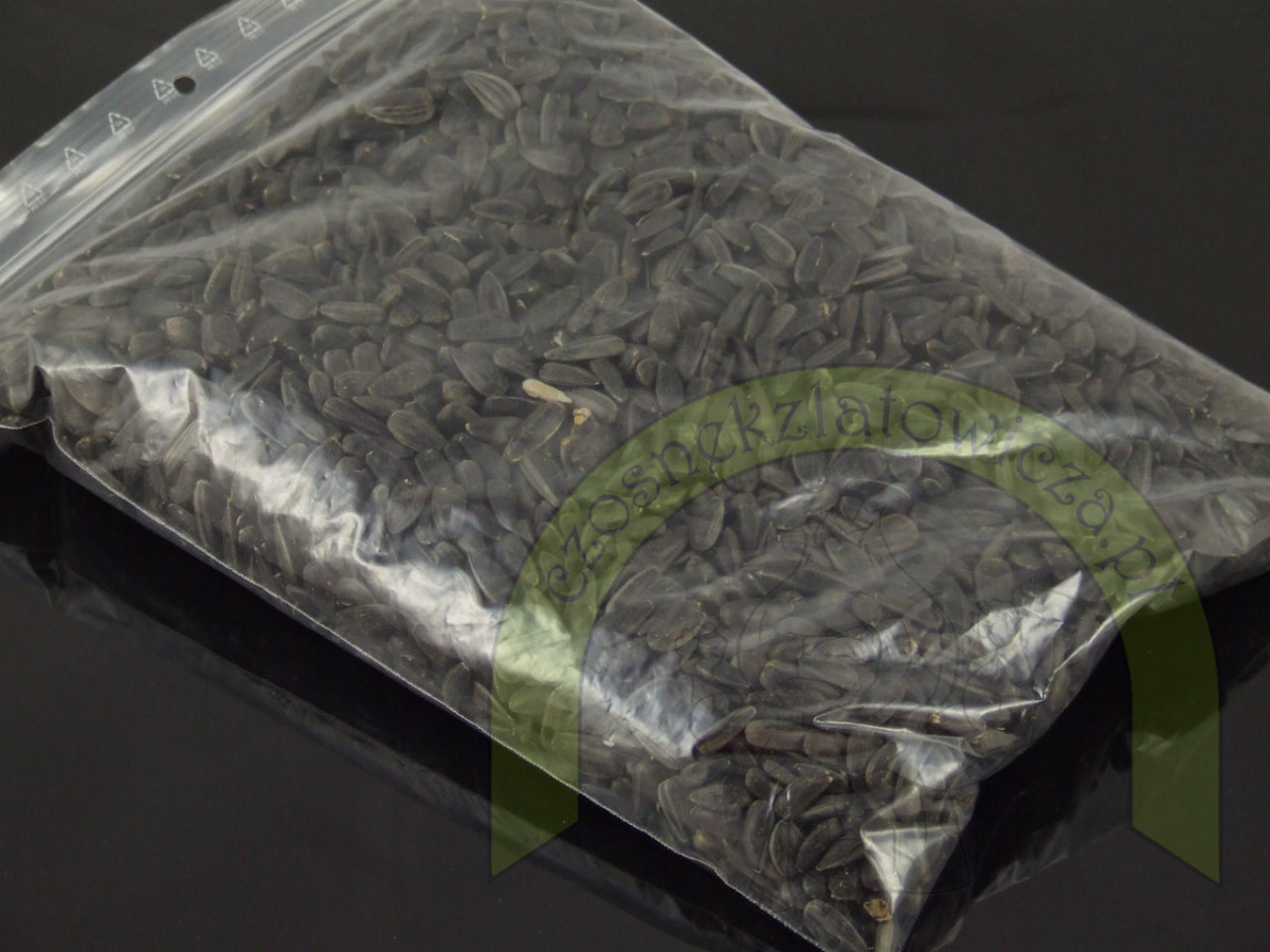 Słonecznik czarny gruby 500 g Słonecznik czarny gruby 500 g