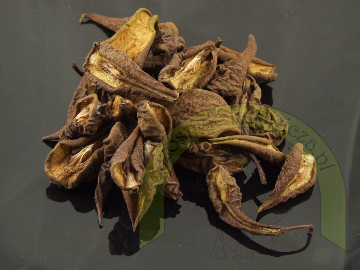 Suszona Gruszka 100g Suszona Gruszka 100g