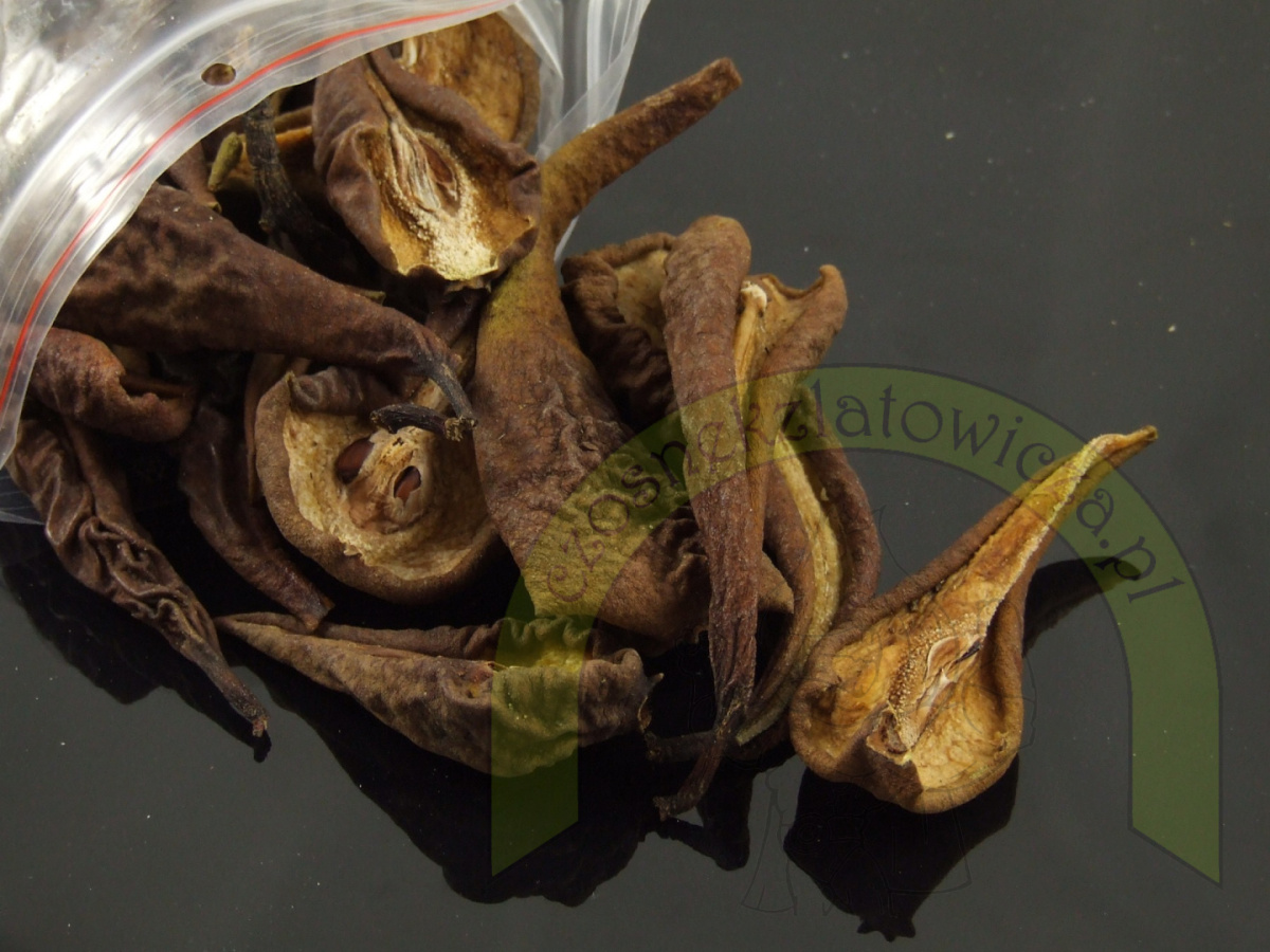 Suszona Gruszka 100g Suszona Gruszka 100g