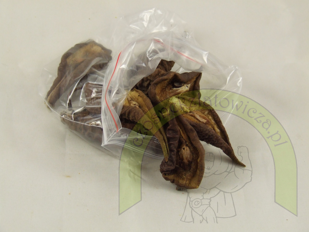 Suszona Gruszka 100g Suszona Gruszka 100g