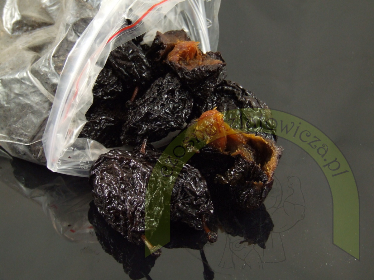 Wędzona Sliwka z Pestką 100g Wędzona Sliwka z Pestką 100g
